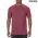 Comfort Colours 1717 - Comfort Colours Short Sleeve Adult T-Shirt - Brick